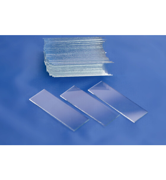 Microscope Slides Germany