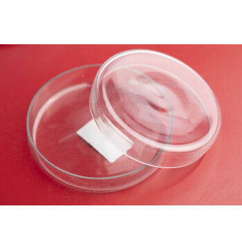 lab Petri dishes laboratory 100 ml