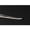 BONE CHISEL AND GOUGES